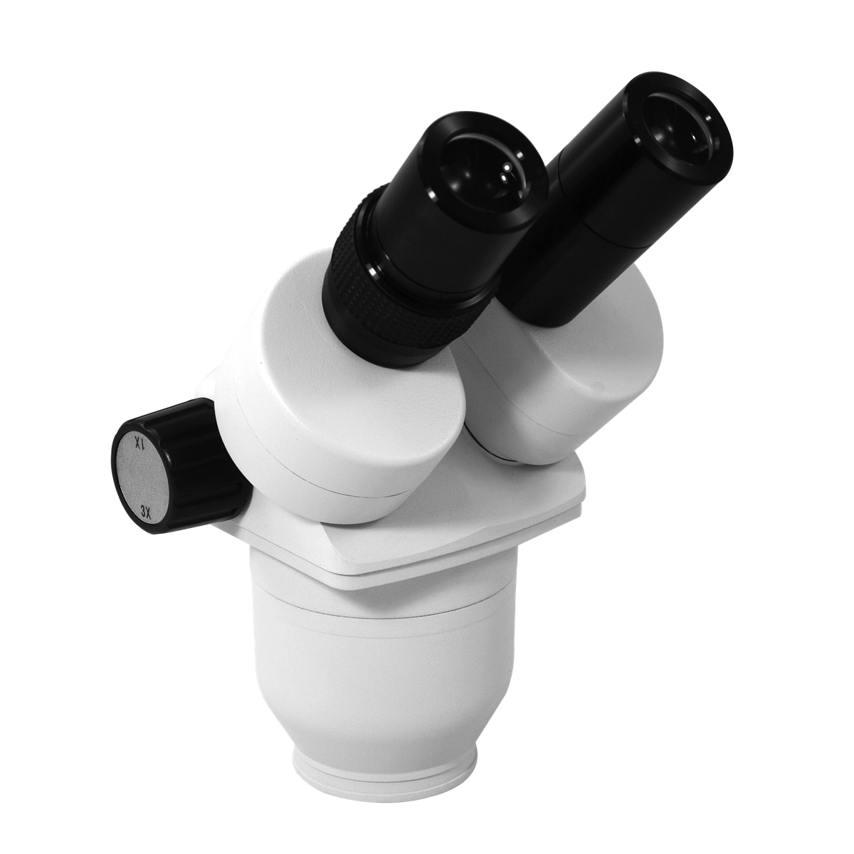 Microscope Body